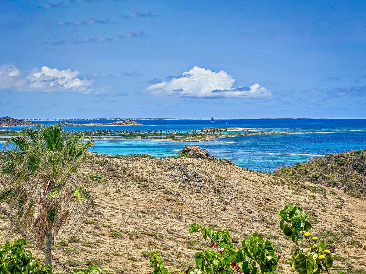 Villa Cazou, Sea View, Private Pool, Wifi 100Mbps Oyster Pond エクステリア 写真